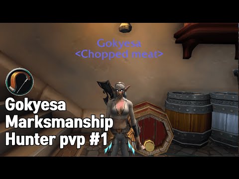 Dragonflight Marksmanship Hunter PvP #1