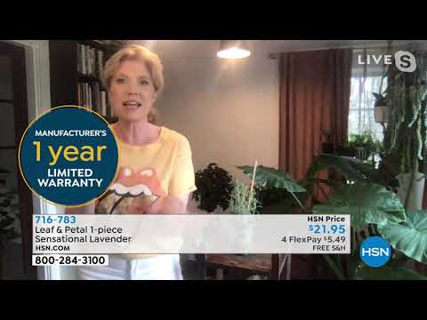 HSN | Outdoor Living 03.24.2021 - 12 PM