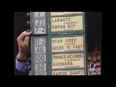 1991 VATC Sandown Guineas _ Star Video