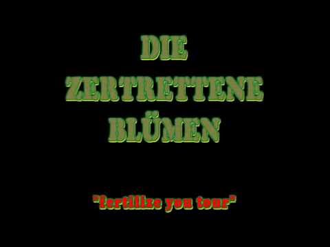 Thumbnail for zertrettene blümen rare live clip by The Almost