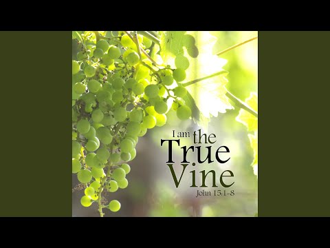 Cover image for YouTube video I Am the True Vine