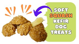 DIY Soft Squash & Oat Dog Treats | Perfect for Senior Dogs, Small Dogs or Toothless Dogs
