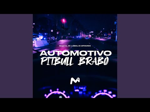 AUTOMOTIVO PITBULL BRABO