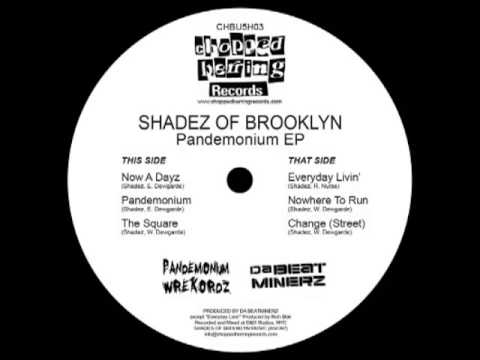 Shadez of Brooklyn - Now a dayz