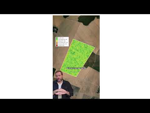 Imóvel Rural com Área de 555 ha (Fazenda Lírios dos Campos) - Loreto - MA