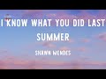 Shawn Mendes - I Know What You Did Last Summer (Lyrics)