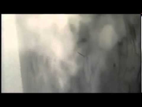 Continental Express 2574 Crash Animation