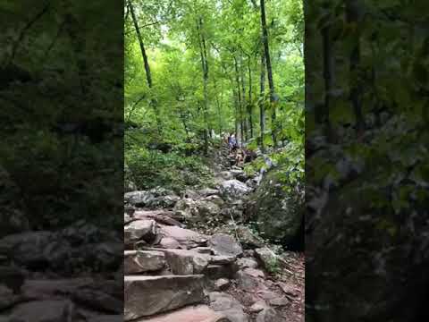 the hike to Cedar Falls