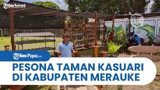 Pesona Taman Kasuari Pia Ardhya Garini di Kabupaten Merauke jadi Daya Tarik Baru Bagi Wisatawan