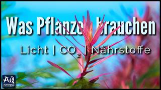 Miniatura filmu z YouTube