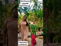 ഡാൻസ് Anjithanair Beautytips Youtubeshorts Trendshort