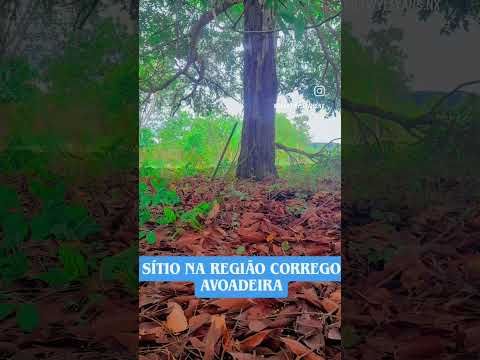 Sítio na região do corrego avoadeira em Nova Xavantina  / Mato Grosso 