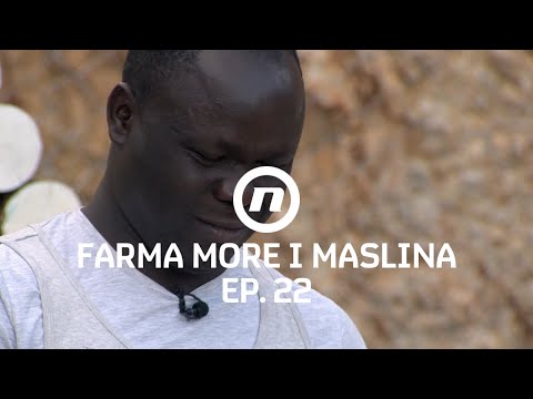 Pismo podrške za Princea- Epizoda 21 | Farma More i Maslina