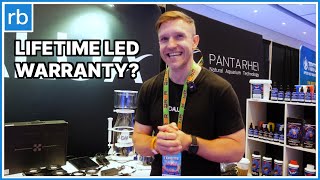 Dalua LED Deep Dive: Lifetime Warranty, Swappable Lenses & Must-Know Features!