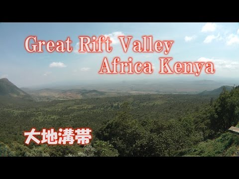 リフトバレーフィーバーについて詳しく解説