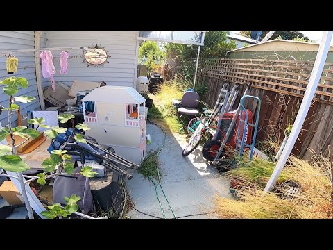 5 Years of Accumulated Junk FINALLY Gets Cleaned Up!