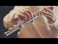 FLUTE MUSIC HAPPY FLUTE MUSIC
