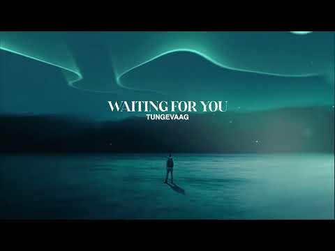 Tungevaag - Waiting For You (Visualizer)
