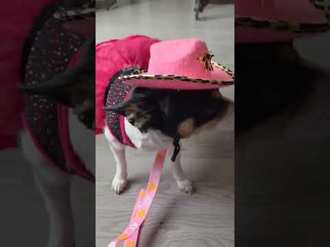 luna y su sombrero