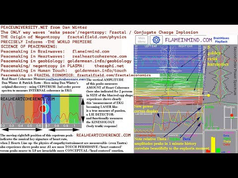 Peace Making: IS Negentropy- Pure Fractal Harmonic Science with Dan Winter