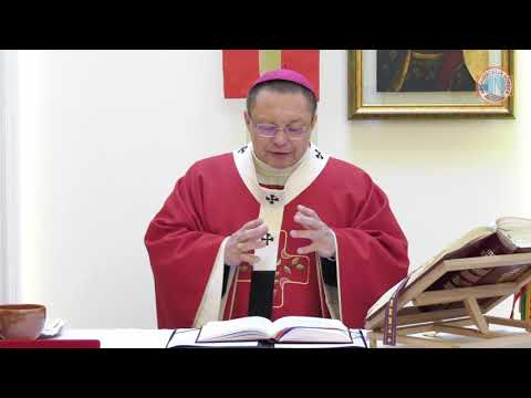 Abp Ryś: Bóg nas chroni, trzyma nas w swoich dłoniach! | Łódź 2020