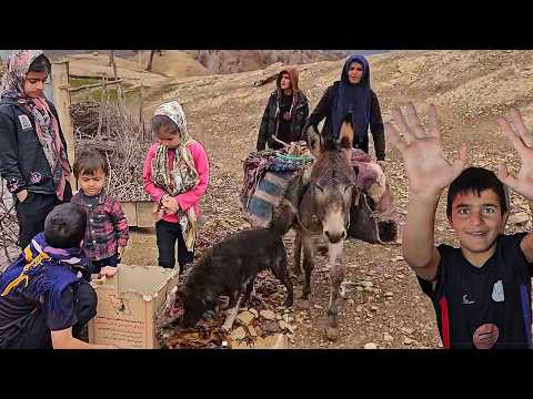 A new birth at Akram Farm, a day full of joy