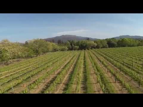 Visite a Festa do Vinho Verde e Produtos Regionais de Ponte de Lima, de 13 a 15 de junho de 2014!