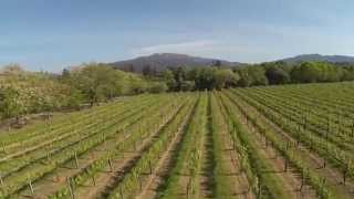 preview picture of video '24ª Festa do Vinho Verde e Produtos Regionais de Ponte de Lima'