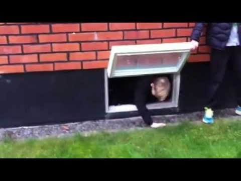 Rackarpojkarna(kortfilm)