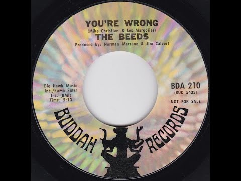 The Beeds - You're Wrong 1971