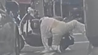 看到右手還掛在油門上，就能預想到後來的事情了