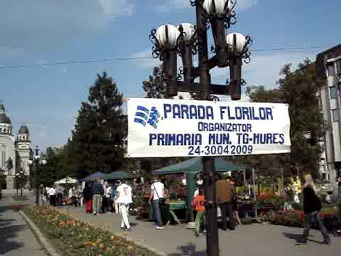 Parada Florilor Tirgu Mures Aprilie 2009