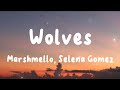 Wolves - Marshmello, Selena Gomez  (Lyrics) | Alan Walker, Pitbull, Jeremy Zucker, ...