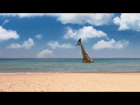 The giraffe at the beach - Short animation