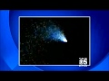 The Bay Area Experiences A Major UFO Sighting.