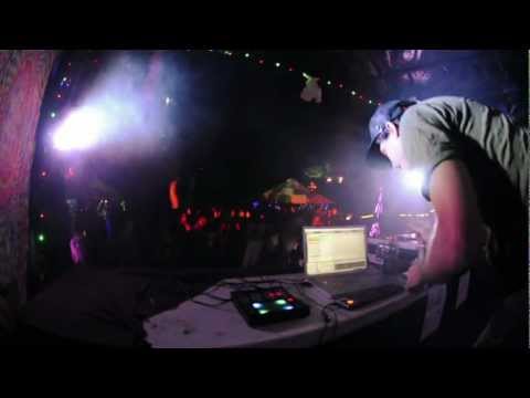 Rabbits Eat Lettuce 2012