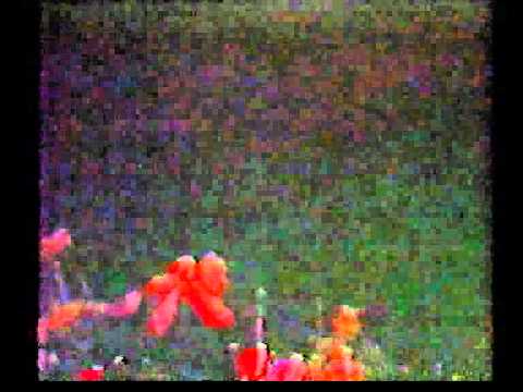 Rysiek Riedel i Blues Forever - all right know, Honky tonk Women