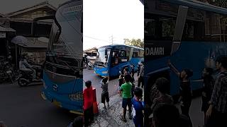 Download lagu 😂 puluhan bocah kena prank bus damri 😅 #shorts #shortvideo #prank #telolet #basuri #busmania mp3