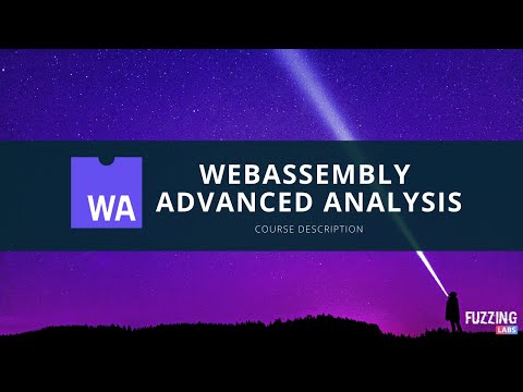 WebAssembly Advanced Modules Analysis - Training description (Day 2)