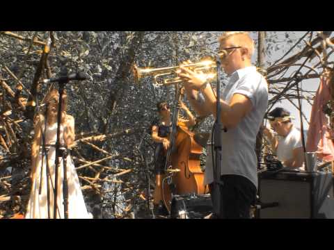 11 Lake Street Dive 2013-08-04 I Want You Back