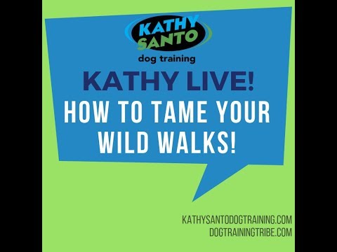 How to tame your wild walks!
