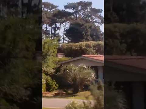 Hermoso venir a Rocha, disfrutar en La Paloma, Costa Azul, La Pedrera, es una delicia, un goce.