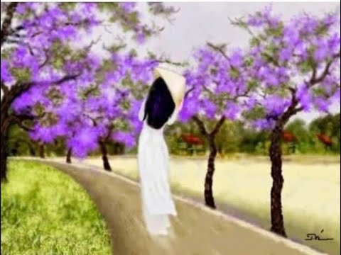 Màu của Huế Sheet - Lê Máy