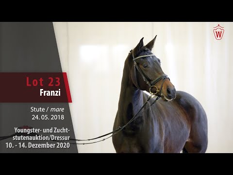 Youngster- und Zuchtstutenauktion/Dressur Lot 23 Franzi Stute v. Franziskus - Don Frederico