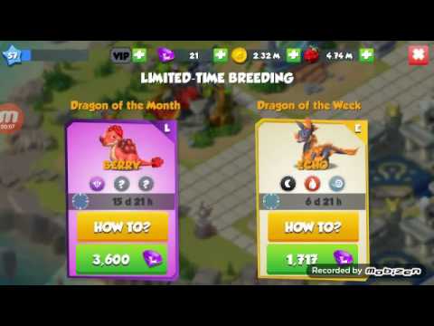 Echo Dragon Breeding Guide