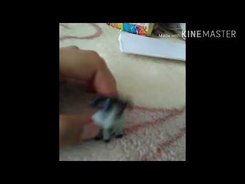 Dădacă pentru ponei!:)