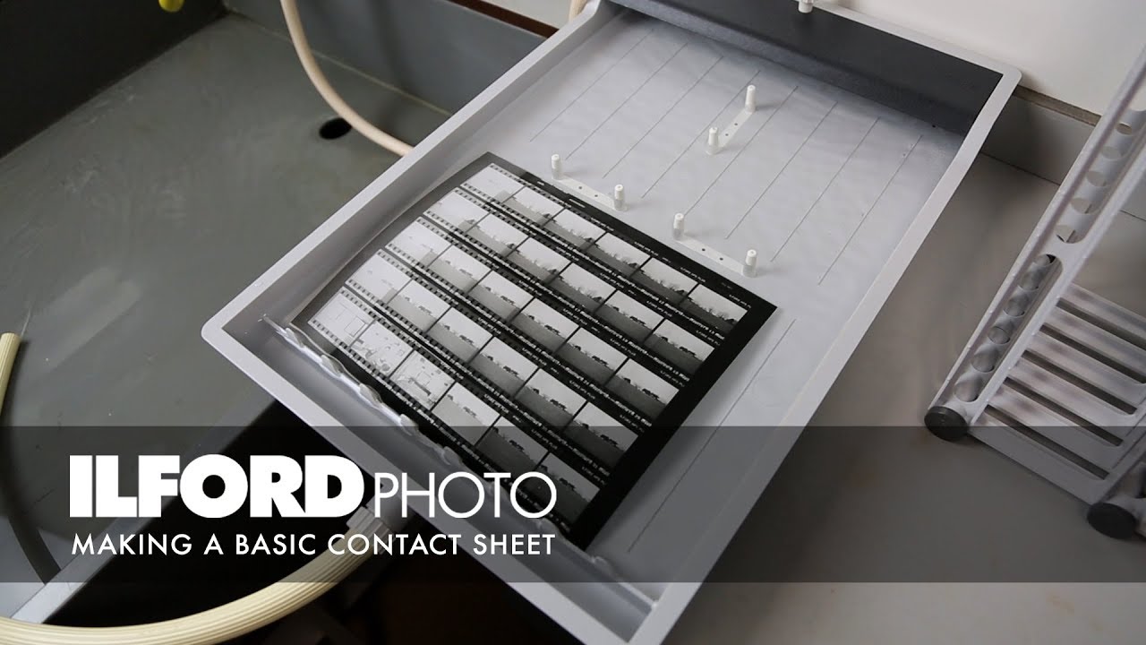 Making a Basic Contact Sheet