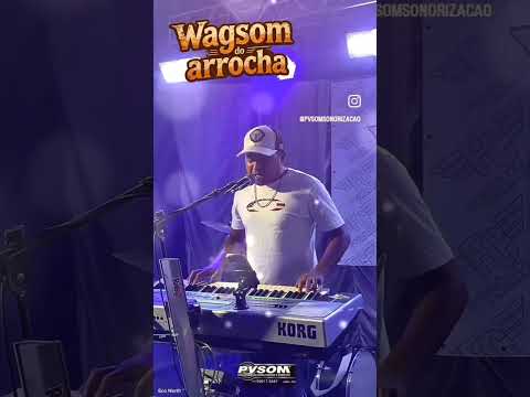 Wagsom do arrocha na tradicional festa do salto,coração de Jesus Minas Gerais 