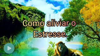 Como aliviar o estress/relaxar e vençer a ansiedade.