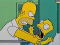 Homer Simpson Why You Little